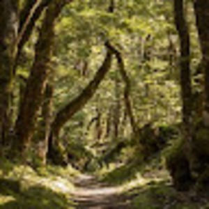 Meet your Posher, Nel